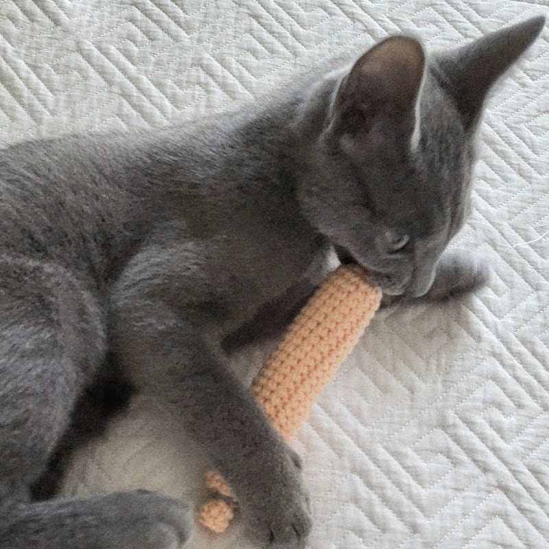 제이공방 - 단순한 소비를 넘어: 2026년, 당신의 라이프스타일에 '진정성'을 더하는 법은? image 4