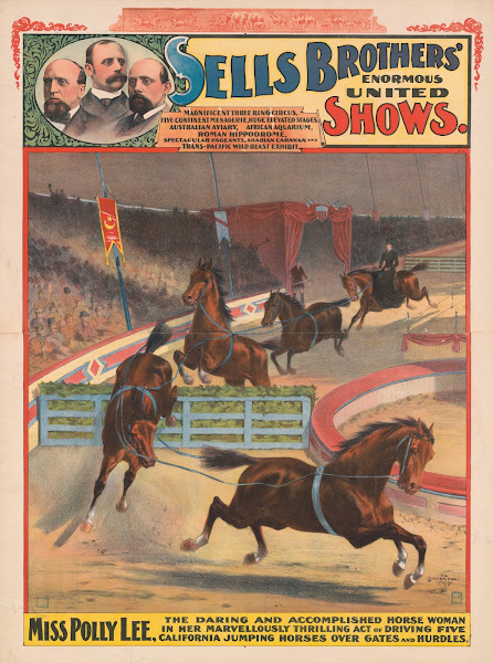 Sells Brothers enormous united shows  Miss Polly Lee  Driving five California ju