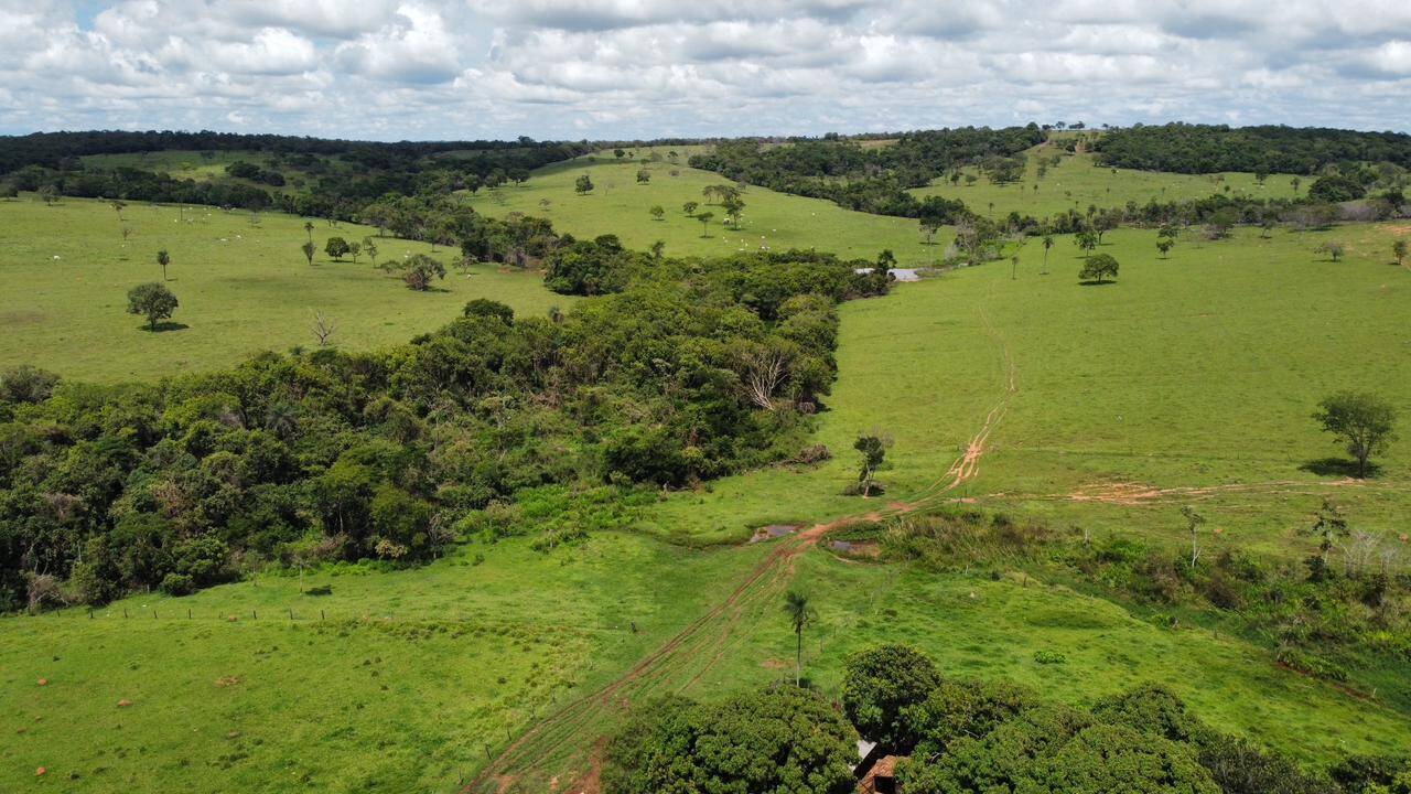 Fazenda no Município de Urutaí - GO 7