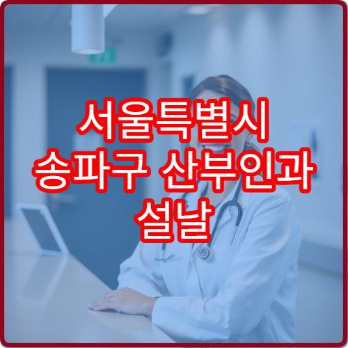 서울특별시 송파구 산부인과 설날 명절 연휴 진료 병원 출산·생리통 응급 상담 가능
