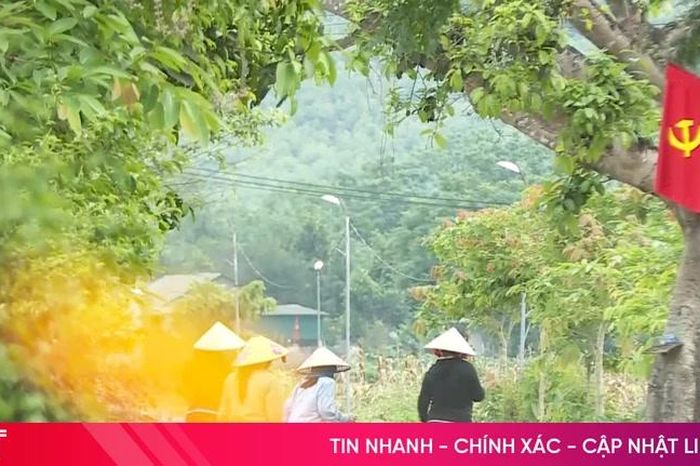 Hương Thọ – Khi sự đồng lòng làm nên miền quê đáng sống - Báo Hà Tĩnh
