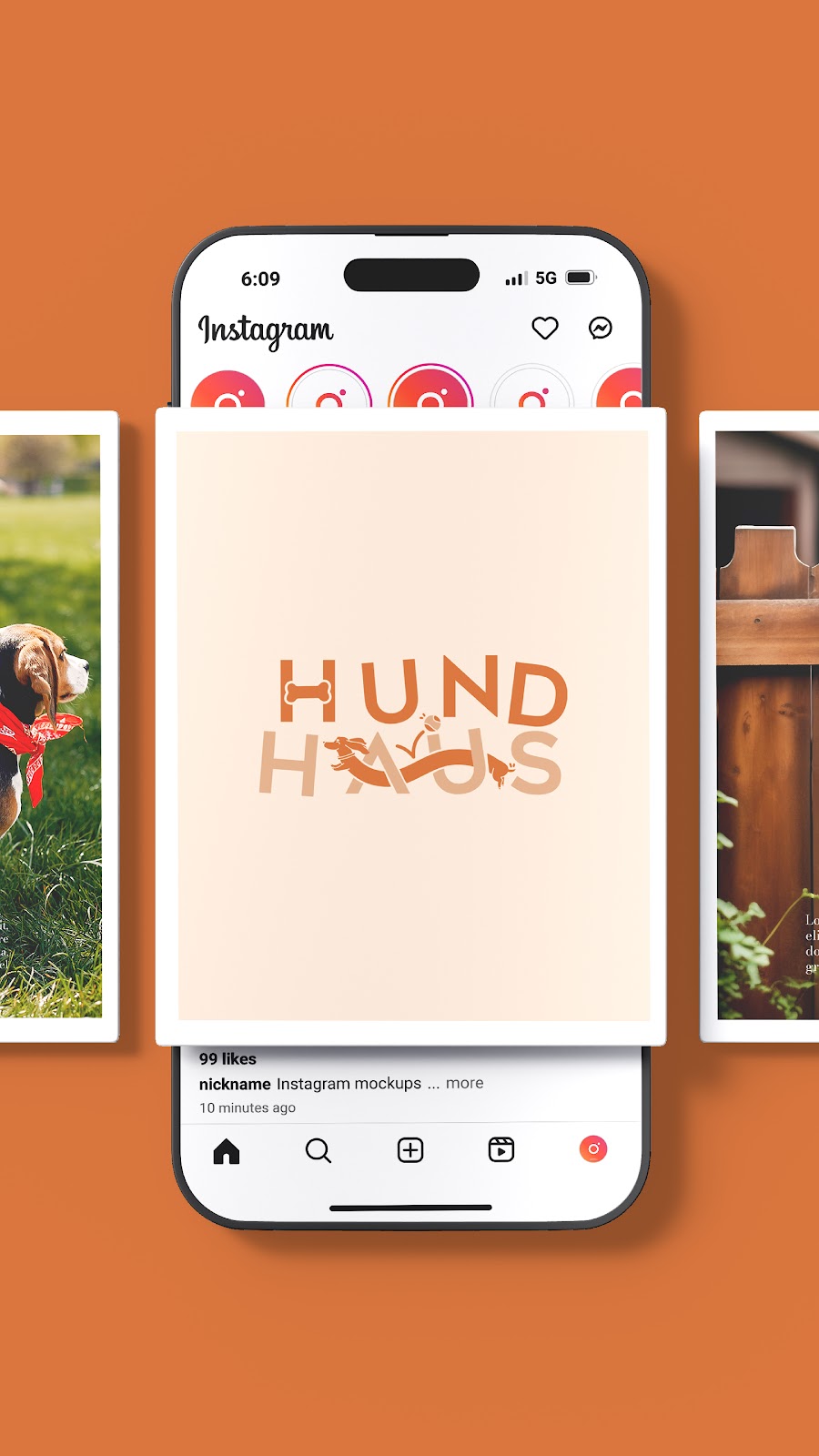 hund haus
