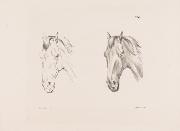 Twee Studies Van Een Paardenhoofd 1835