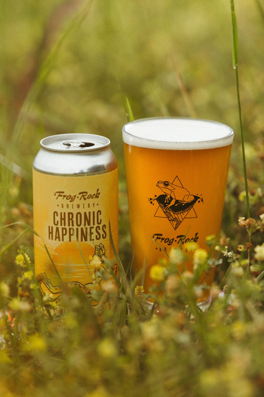 Chronic Happiness 