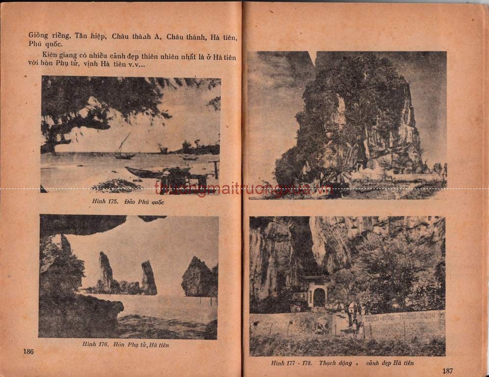 Tập san : Mực tím (số 59 - 1992) - Trang 93