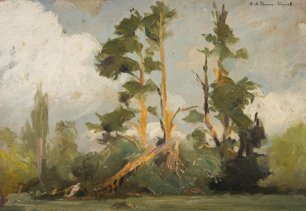 Study of Trees