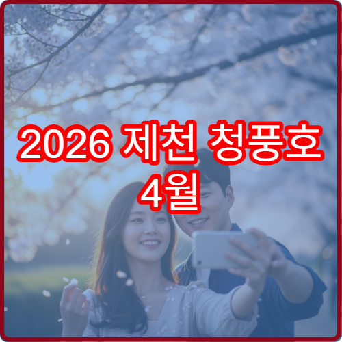 2026 제천 청풍호 4월 도시락 피크닉 물태리 명당 위치 안내