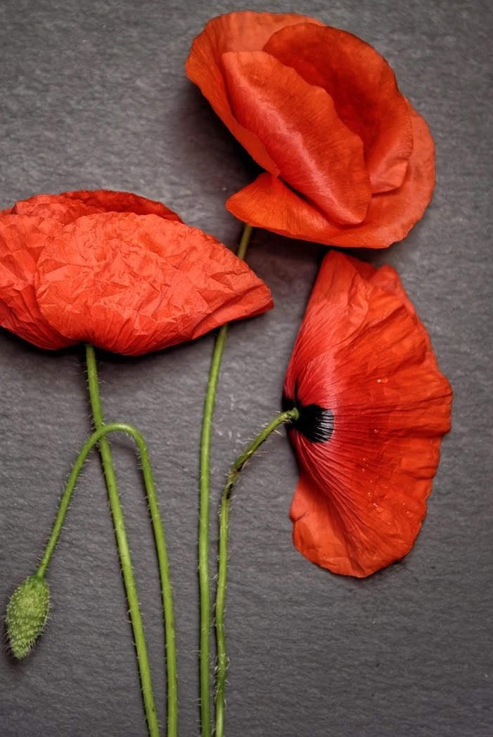 기준금리 변동이 금융상품에