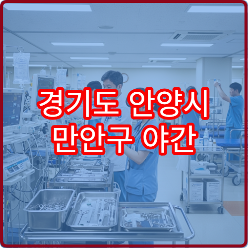 경기도 안양시 만안구 야간 응급의학과 진료 병원 야간 응급진료 가능