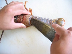 Tôm hùm rửa sạch, bẻ càng. Nhẹ nhàng lấy phần thịt tôm ra khỏi đầu, để đầu tôm qua một bên. Lật ngửa thân tôm lên, lọc tách lấy phần thịt tôm.