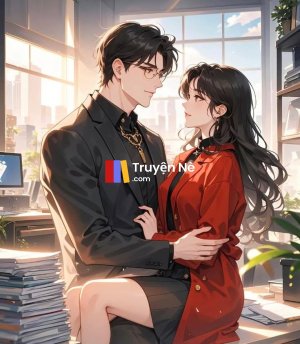 Hôn Nhân Đối Tác Bí Mật