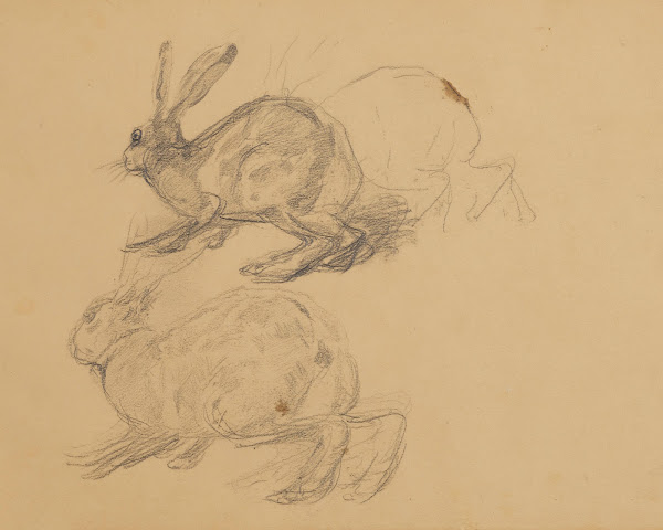 Szkic dwóch zajęcy 1875   1900