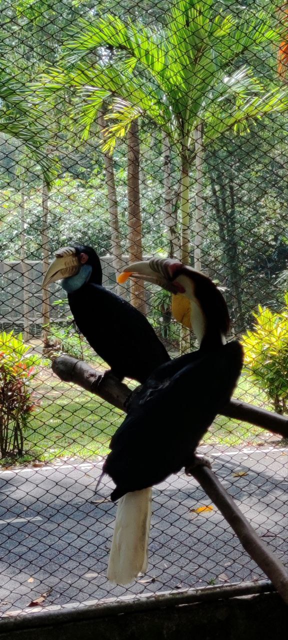 KHAOLAK SAFARI (1-DAY TRIP) 3