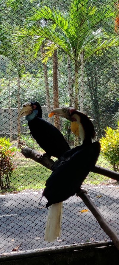 Приватный · KHAOLAK SAFARI (1-DAY TRIP) photo 4
