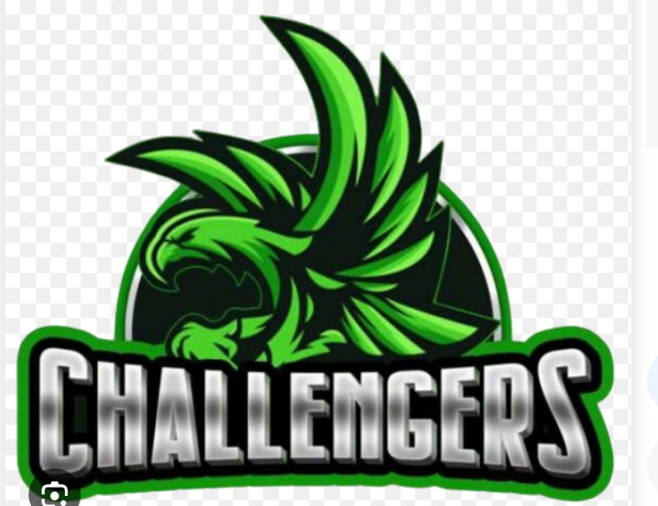 Challengers Women's Flag