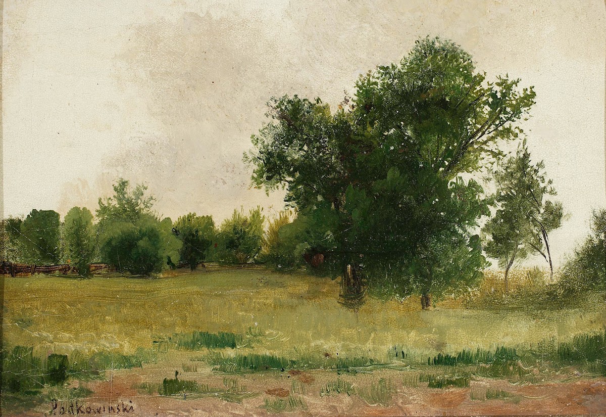 View of Saska Kępa