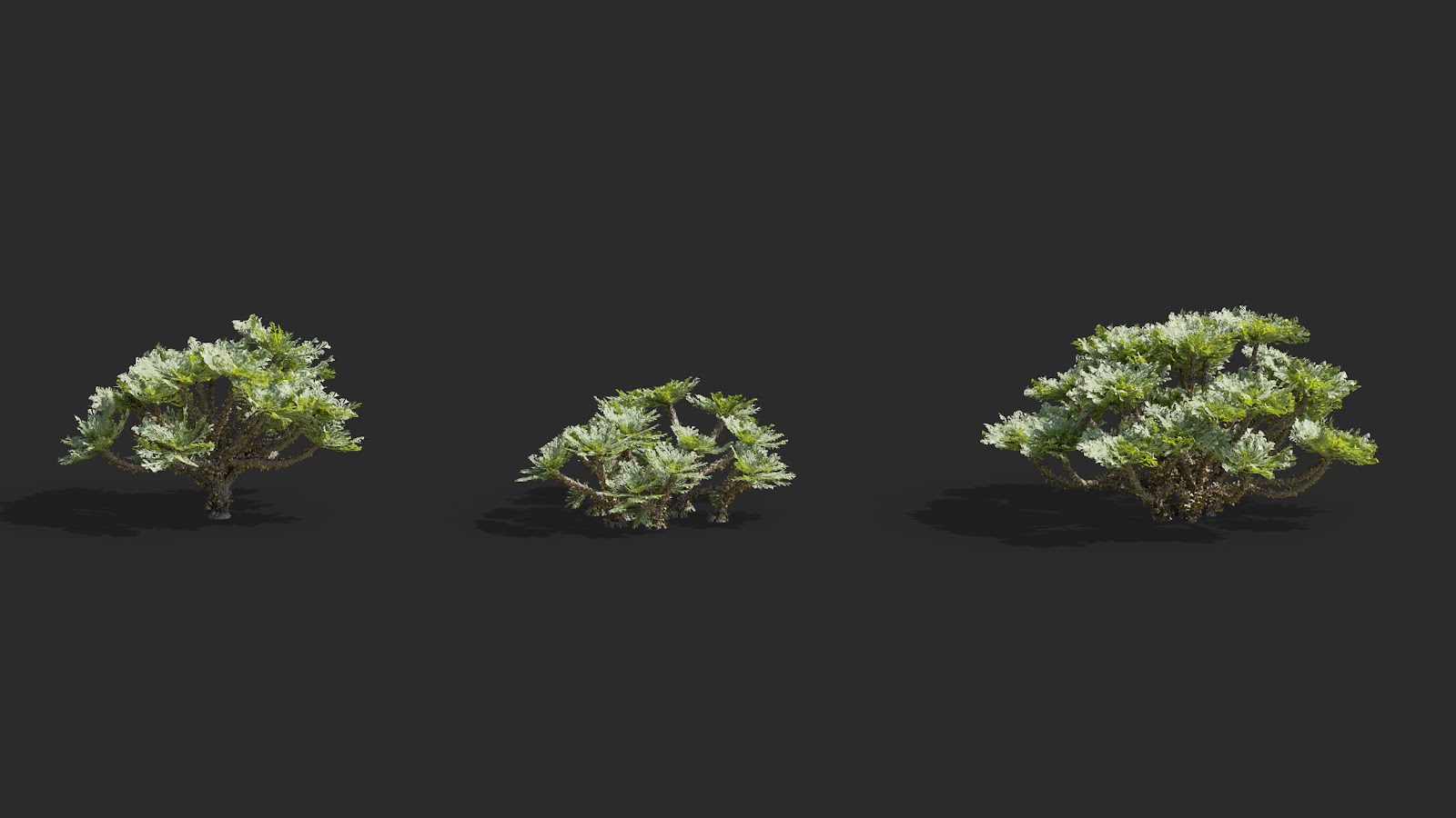 Maxtree - Plant Models Vol.63