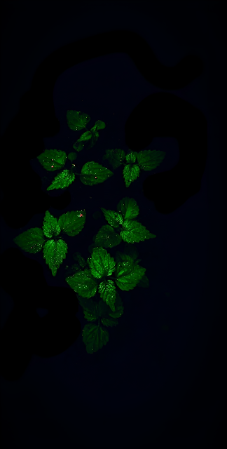 Glowing Green Leaves Floating in Dark Abyss - Free mobile Wallpaper