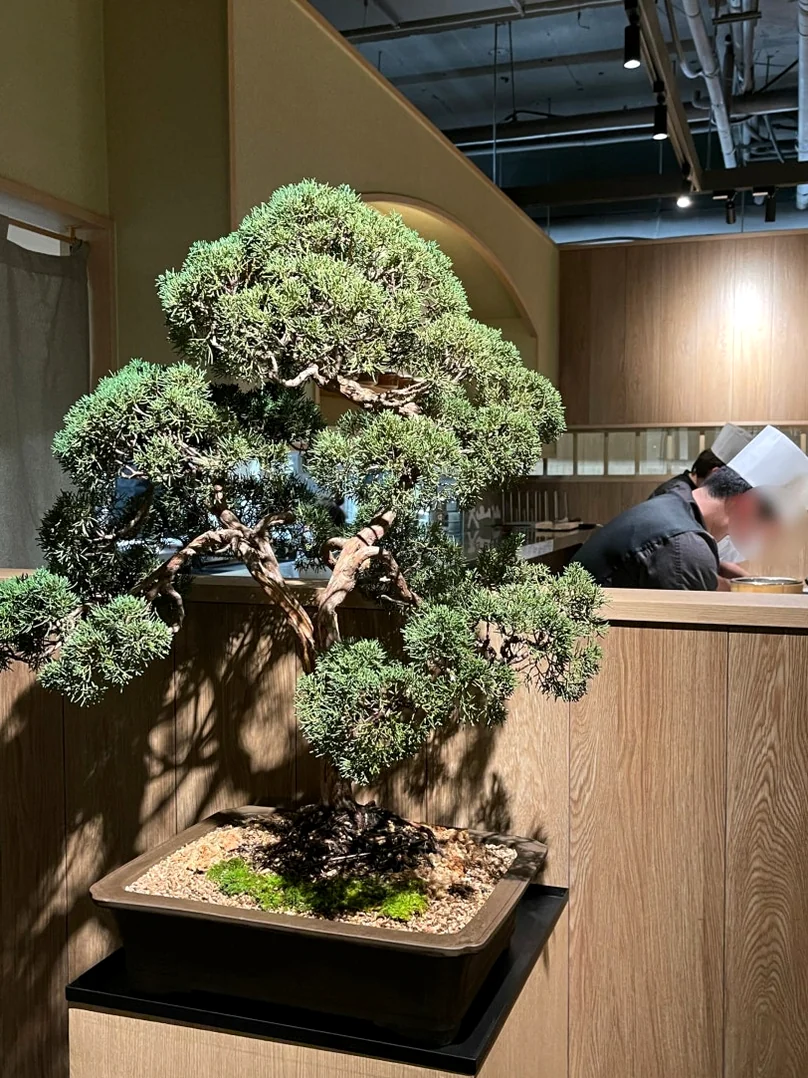 Smart Living: Daisen Sushi (스시 다이센) – A Culinary Journey to Nagasaki in Hannam-dong - Daisen Sushi, Hannam-dong restaurant