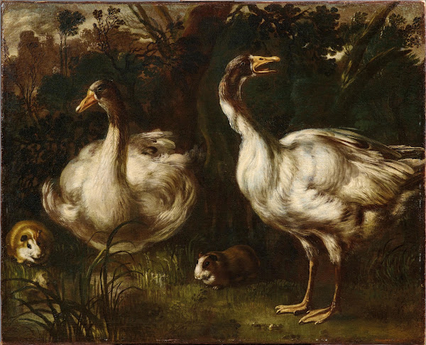 Ducks and Guinea Pigs 17th Century