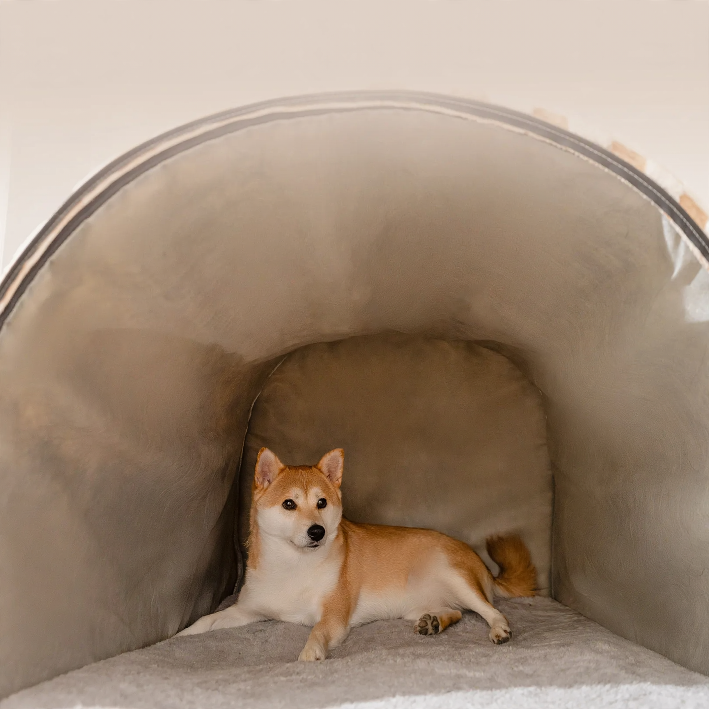 Enclosed dog tent, four seasons, PP cotton