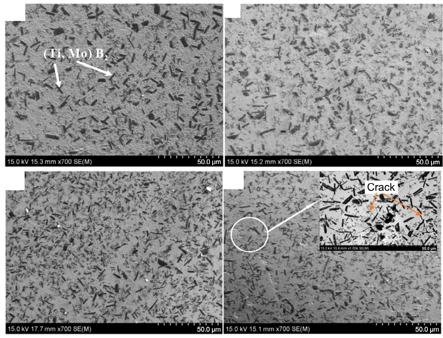 Review of rare earth oxide doping-modified laser cladding of Fe-based alloy coatings