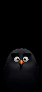 Cartoon Black Bird with Big Eyes on Black