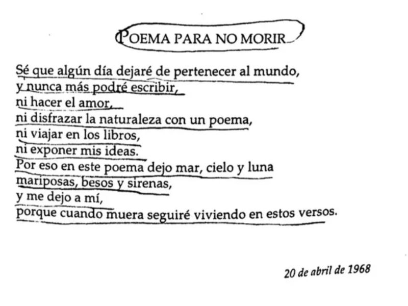Mi imagen