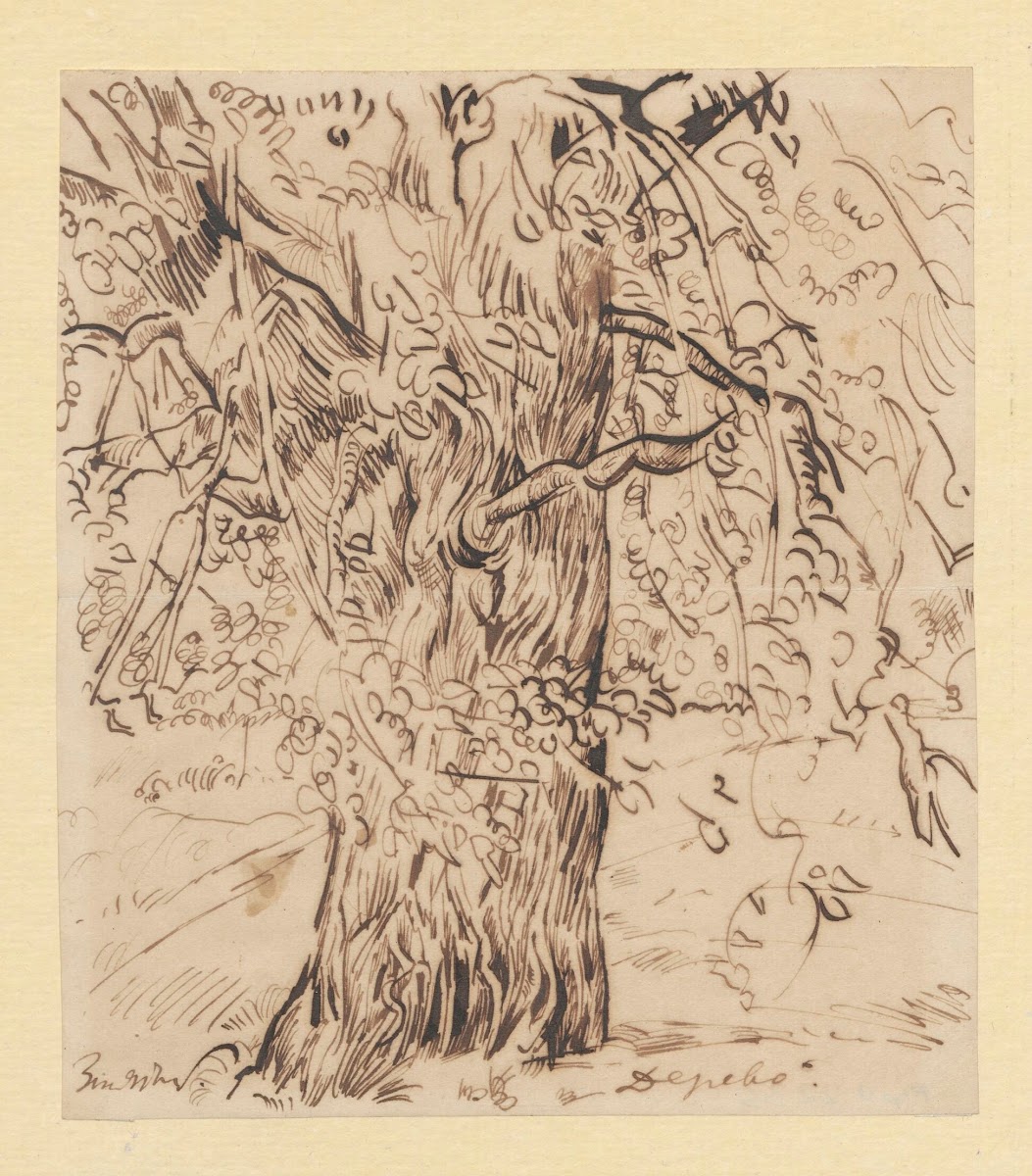 Tree 1917