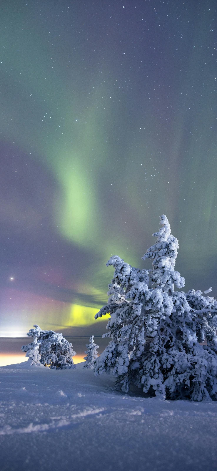 Snowy Trees Under Northern Lights - Nature Photography 2K iPhone Wallpaper (2003x4340)