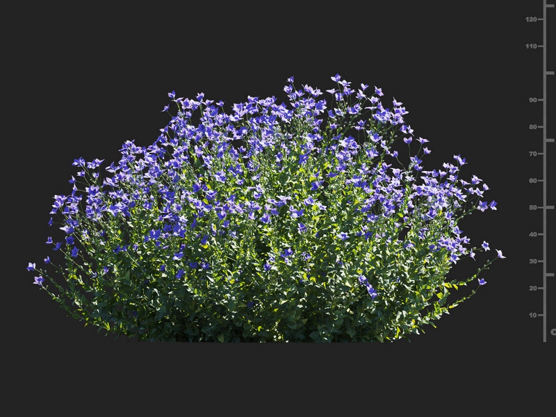 Maxtree - Plant Models Vol.112
