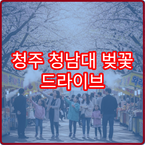 청주 청남대 벚꽃 드라이브 초보 커플 호수 루트 정리