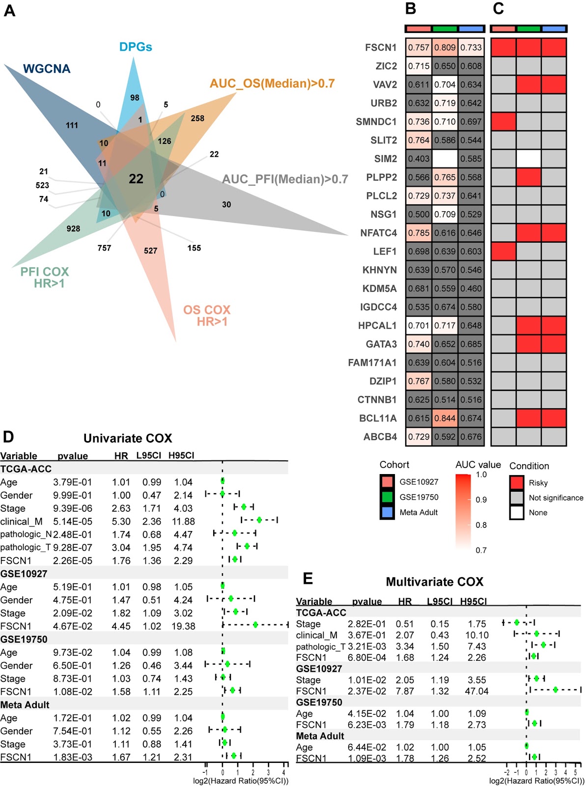 Integrated multi-omics and experimental approaches identify fascin actin-bundling protein 1 as an unfavorable prognostic biomarker in adrenocortical carcinoma