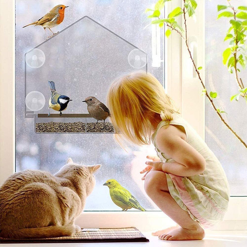 Transparent Acrylic Bird Feeder with Suction Cup