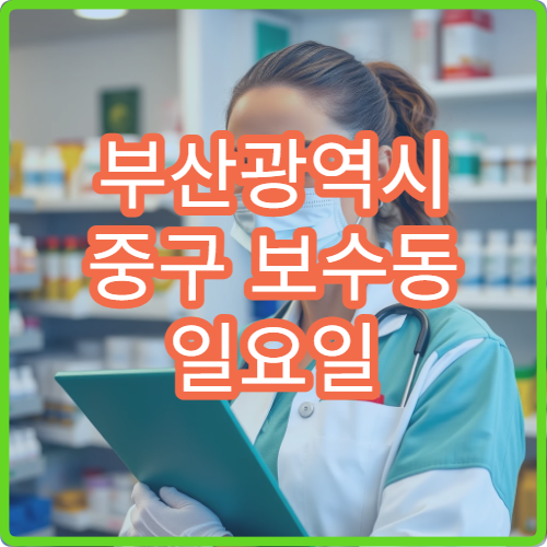 부산광역시 중구 보수동 일요일 약국 진료 및 영업 시간