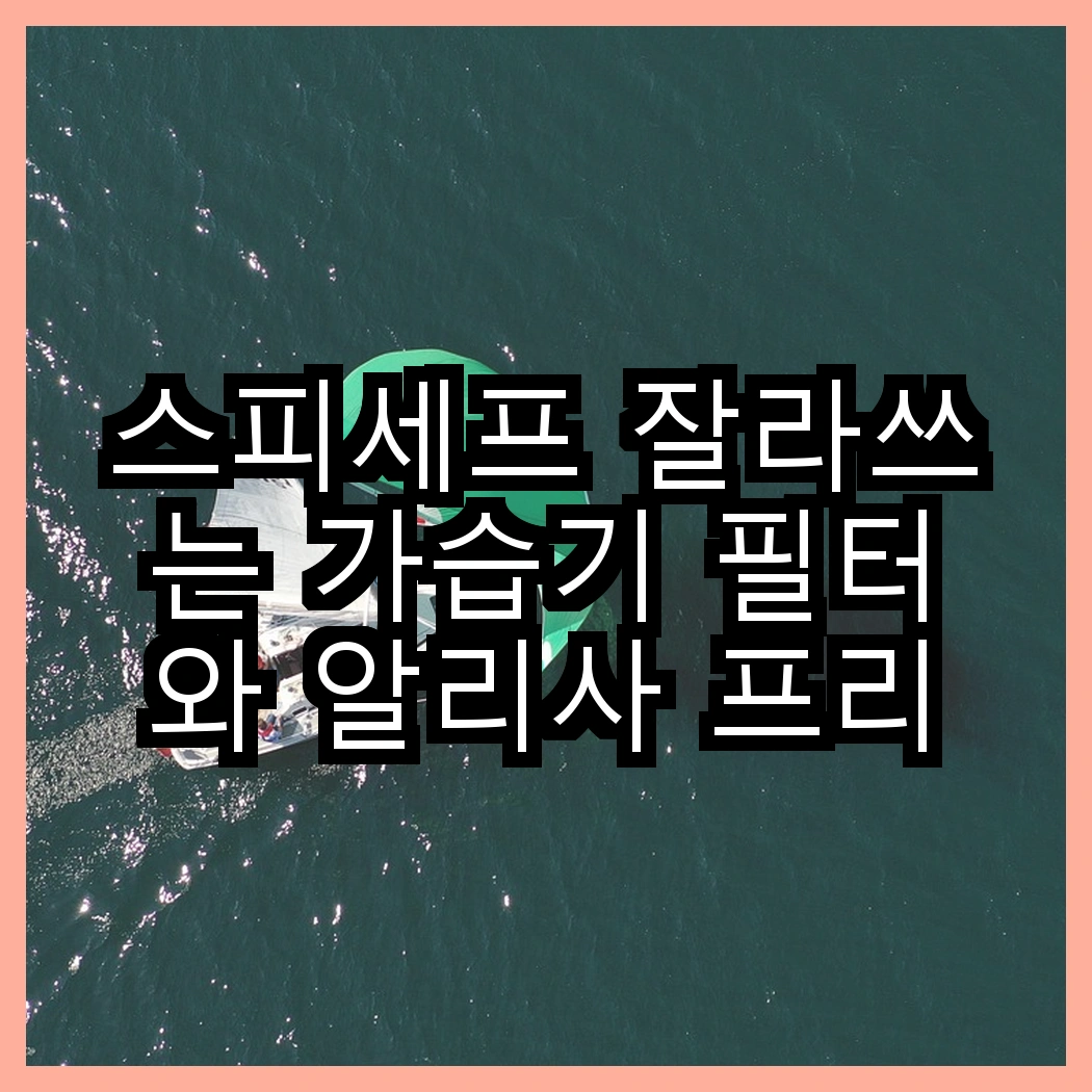 스피세프 잘라쓰는 가습기 필터와 알리사 프리미엄 무선 가습기, 어떤 선택이 더 나을까? 썸네일