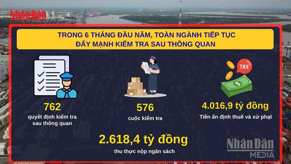 [Video] Kiểm tra sau thông quan, Hải quan thu hơn 2.600 tỷ đồng - Báo Nhân Dân