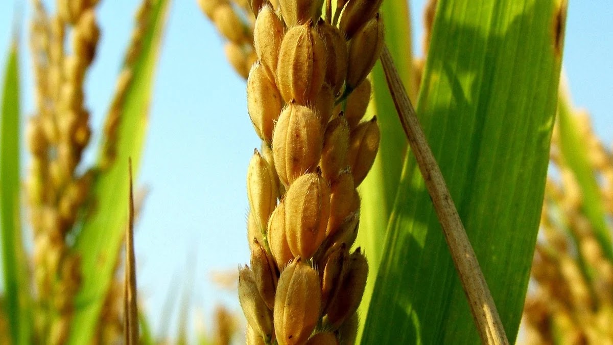 의료비 환급 신청 절차별 필요한 용어와 의미 해설