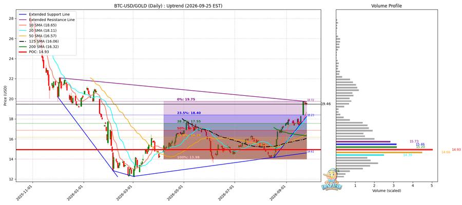 BTC vs Gold 비교