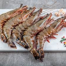 Prawn Choice