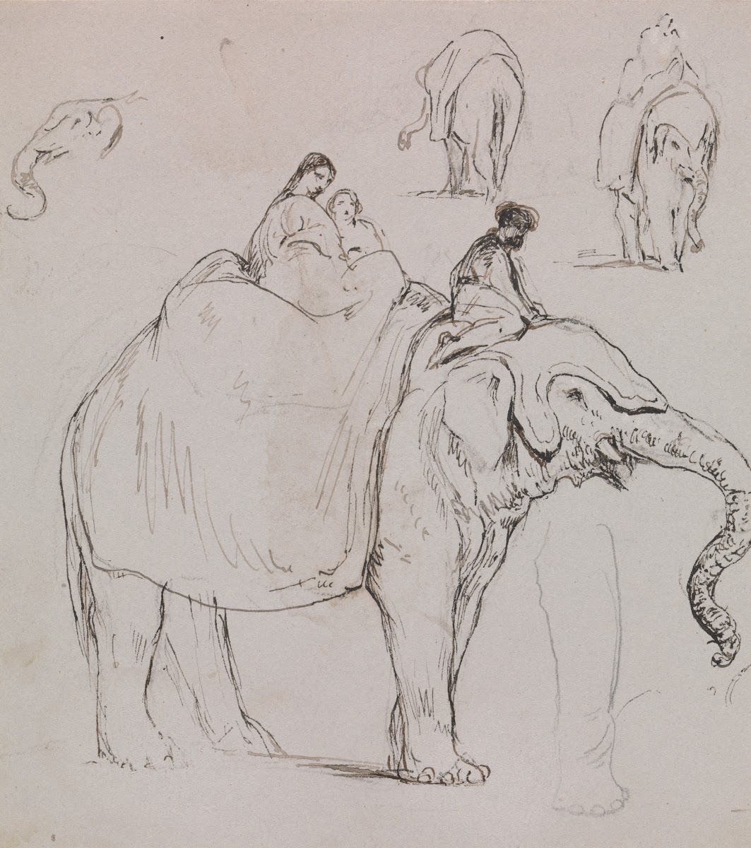 Figures on an Elephant and Other Elephant Studies