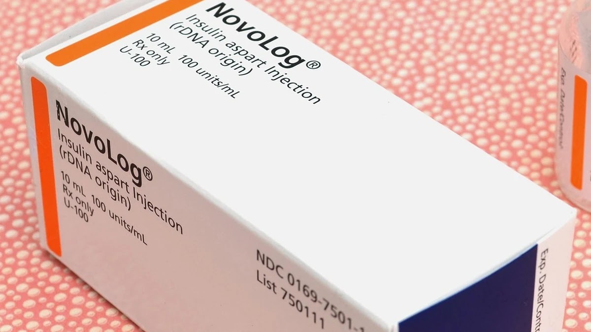 혈당 조절에 영향을 미치는 신체 구조별 역할과 관리 방법