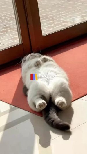 Tình Yêu Trong Màn Đêm