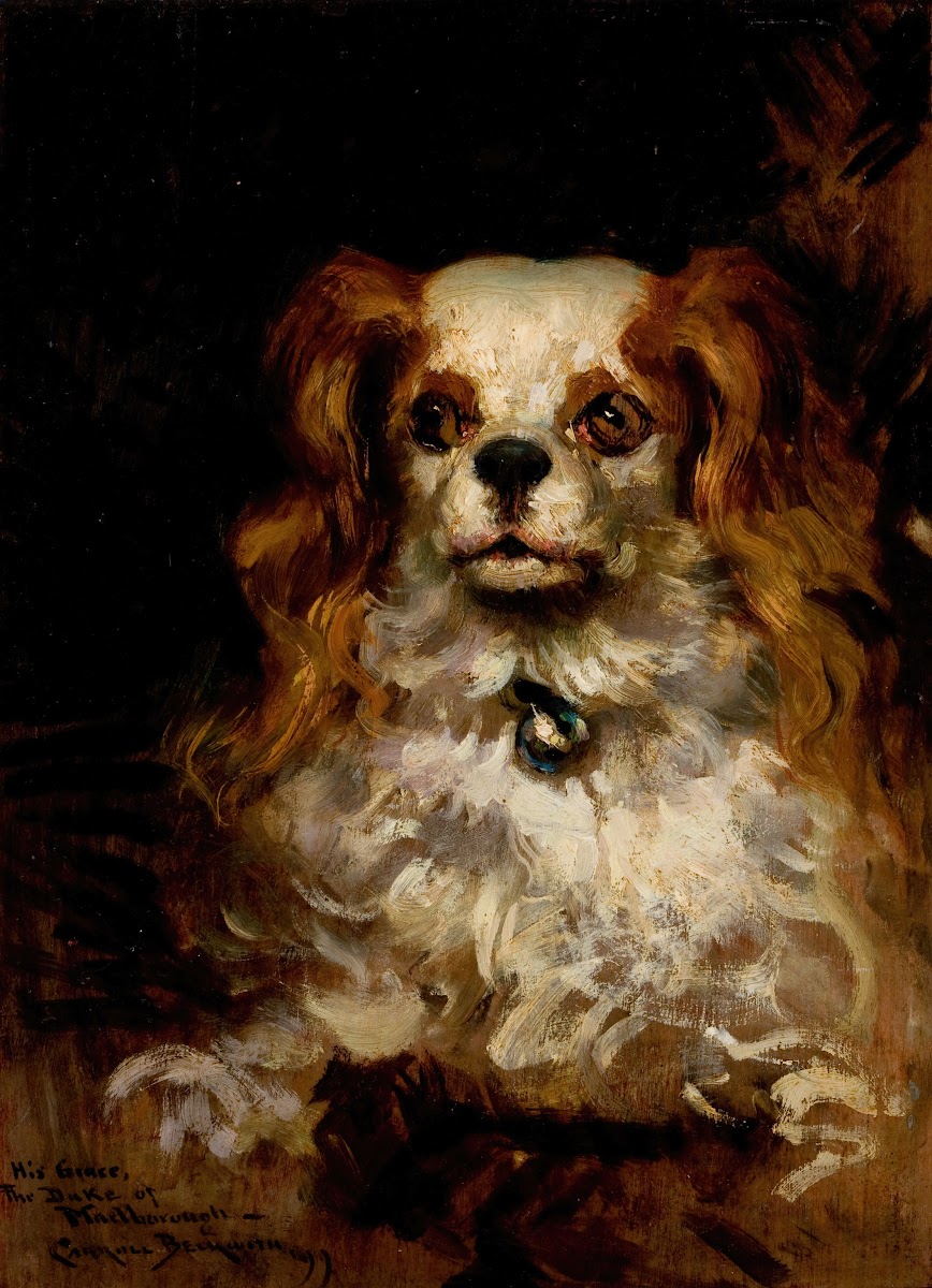 The Duke of Marlborough Portrait of a Puppy