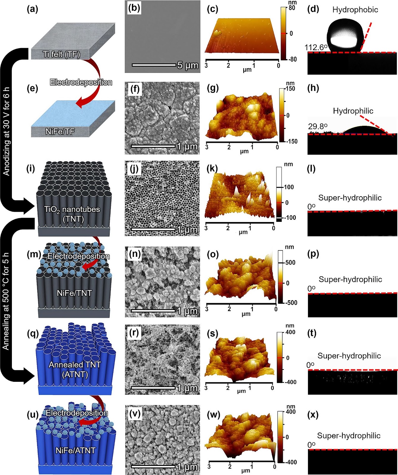Rapid Outgassing of Hydrophilic TiO2 Electrodes Achieves Long-Term Stability of Anion Exchange Membrane Water Electrolyzers