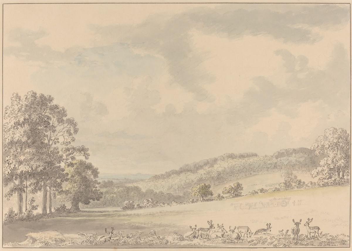Deer Resting in Albury Park after 1780