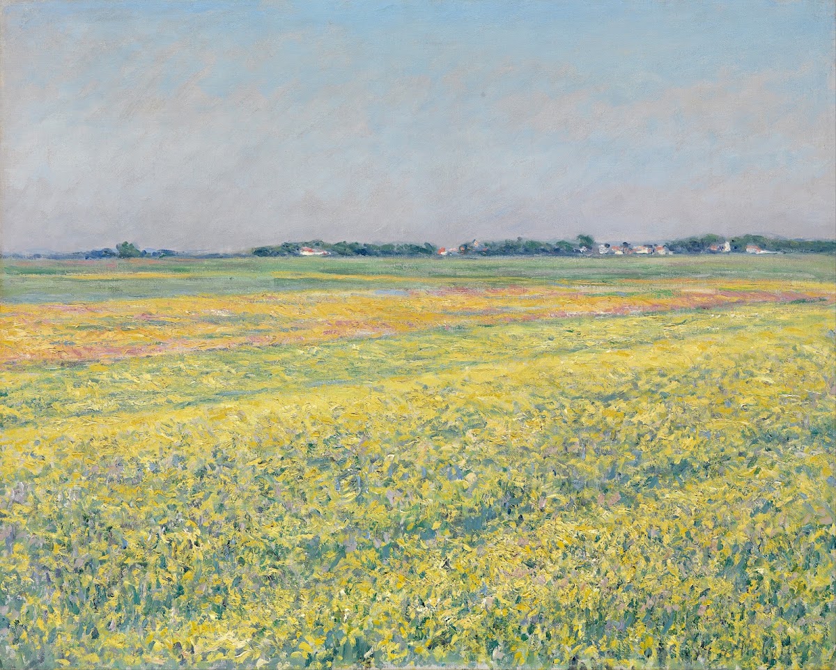 The plain of Gennevilliers yellow fields