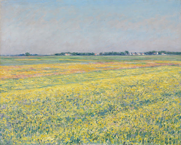 The plain of Gennevilliers yellow fields