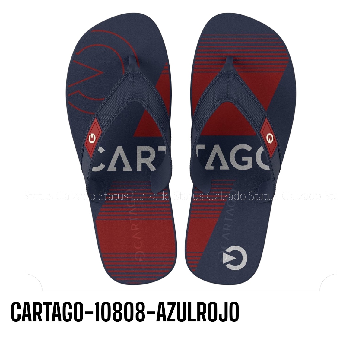 CARTAGO-10808-AZULROJO