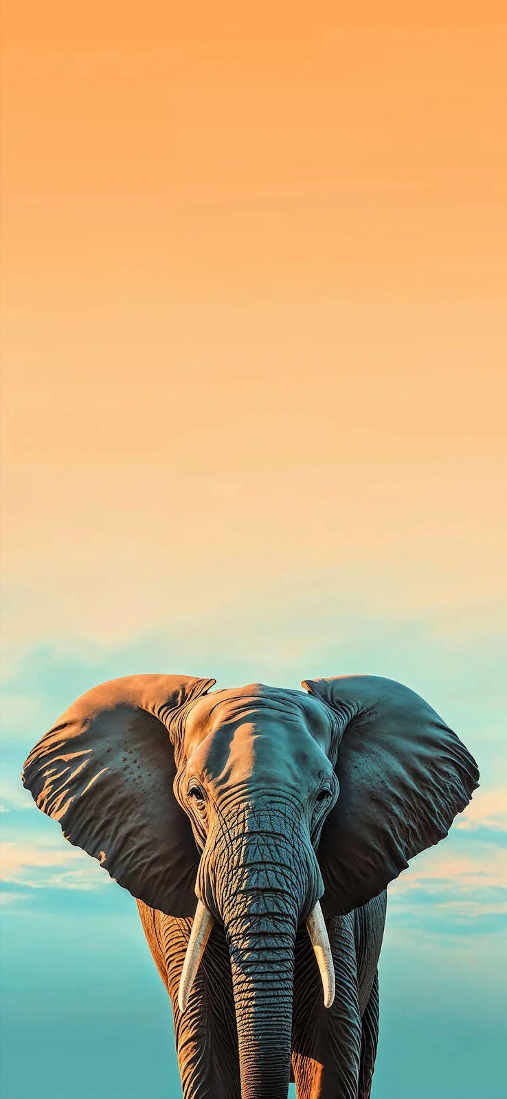Majestic Elephant Under Sunset Sky - Wildlife Photography Full HD iPhone Wallpaper (1080x2341)